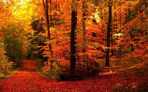 Aesthetic Autumn Wallpapers - Wallpaper Cave