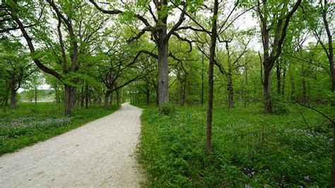 Blackwell Forest Preserve - Grant & Power Landscaping