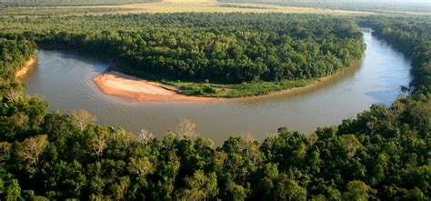 A diversity of Daly River flows sustains diverse freshwater fish