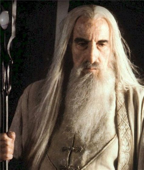 Saruman (Lord of the Rings: Fellowship of the Ring) | All Hail the Bad Guys! | Pinterest | The o ...