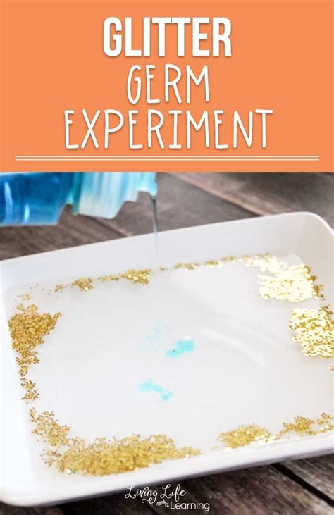 Glitter Germ Experiment | Kindergarten science activities, Germs activities, Science activities ...