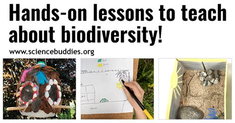 Teach About Biodiversity with Free STEM Lessons & Activities | Science ...