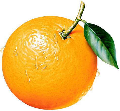 orange clipart images #9 | Orange, Fruit, Clip art