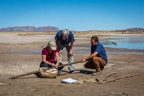 NOVA’s “Ice Age Footprints” Uncovers Ancient Human Footprints | WITF