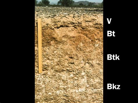 Aridisols | Soil & Water Systems | University of Idaho