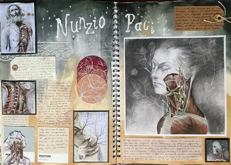 Nunzio Paci Alevel art anatomy sketchbook page in 2024 | Gcse art sketchbook, Natural form art ...