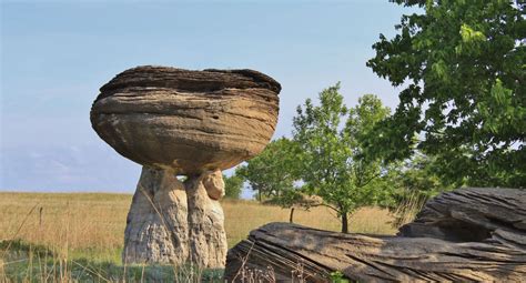 How Mushroom State Park Was Formed (& Why You Should Visit)