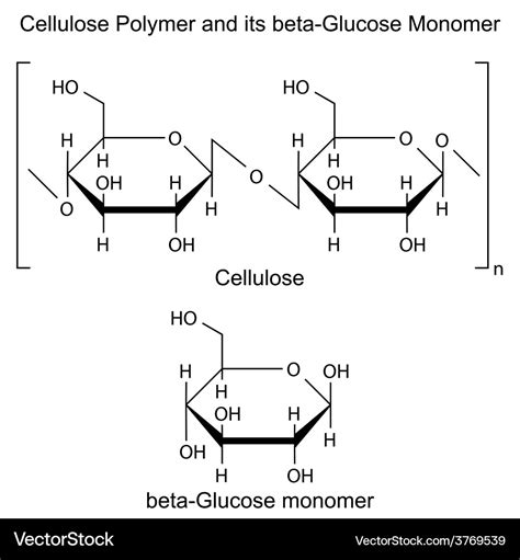 [DIAGRAM] Diagram Of Cellulose - MYDIAGRAM.ONLINE