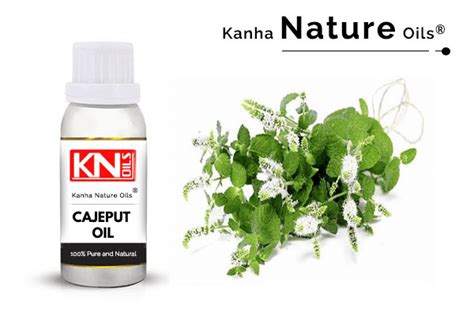 CAJEPUT OIL - KANHA NATURE OILS (Manufacturer of essential oils)