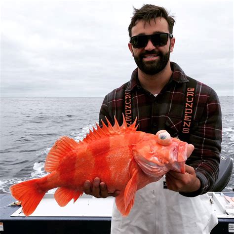 Saltwater - Westport June 21st - State Record Redbanded Rockfish | Bloodydecks