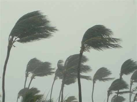 NOAA Officials Stress Hurricane Danger and Storm Safety - Eos