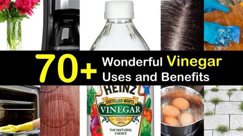 70+ Wonderful Uses of White Vinegar | Vinegar uses, White vinegar, Vinegar for health