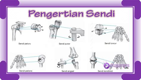 Detail Contoh Gambar Sendi Engsel Koleksi Nomer 28