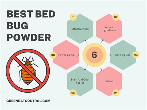 Best Bed Bug Powders in 2024 - GreenRatControl