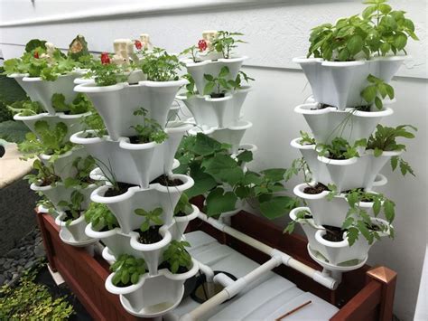 Pin by Gartner Callaway on EzGro Garden Hydroponic Systems | Indoor garden, Hydroponics system ...