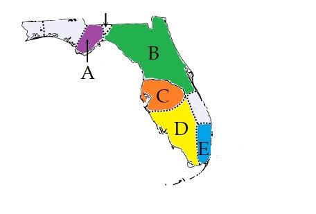 4th Grade: History - Early Florida Tribes (Apalachee, Tocobaga, Calusa, Timucua, Tequesta ...