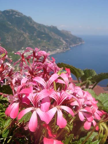 Ravello gardens | Emily Orpin | Flickr