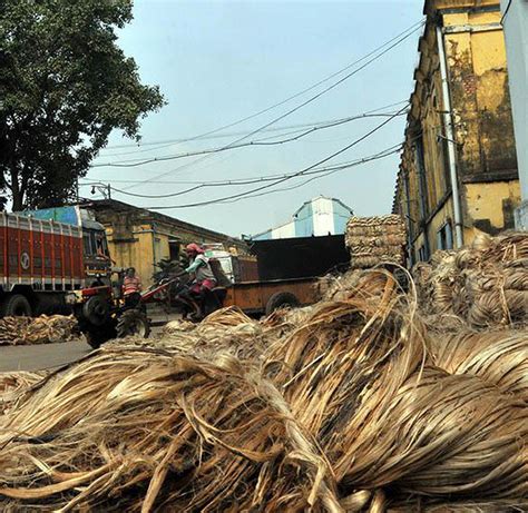 Value of India’s fibre crops output dipped during 2011-20 despite hike in price support - The ...