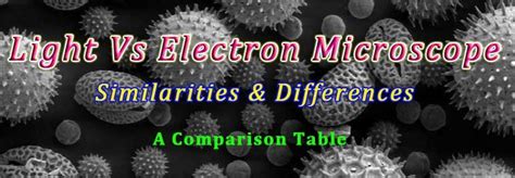 Differences between Light and Electron Microscope | EasyBiologyClass