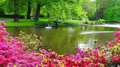 Pin on landscapes | Beautiful gardens, Most beautiful gardens ...