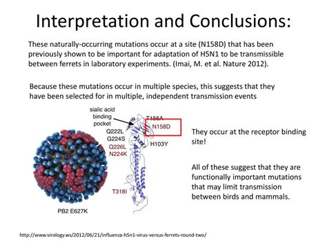 What makes H5N1 Avian influenza “Avian” - ppt download