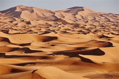 Premium Photo | Endless Sands of the Sahara desert. Beautiful sunset over sand dunes of Sahara ...