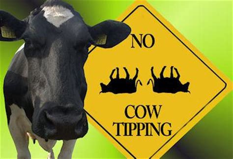 Cow Tipping: Fake Or Really Fake? - Paperblog