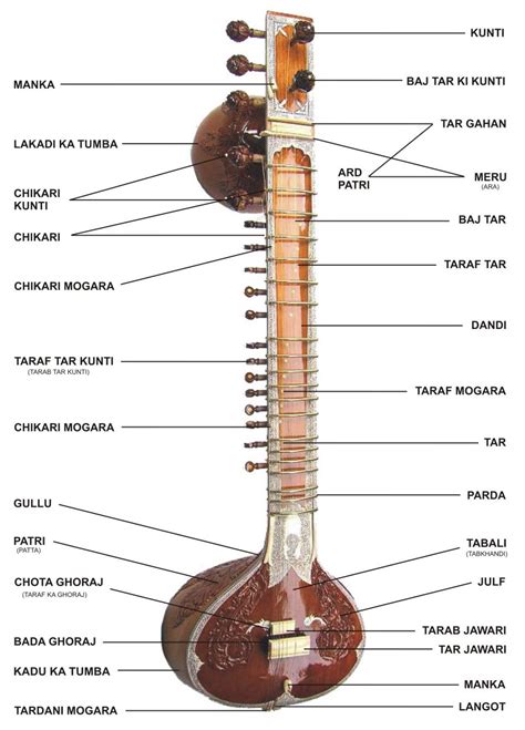 Sitar - Wikipedia