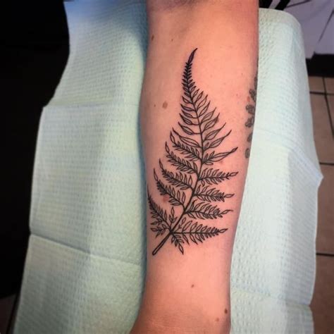 Fern Tattoo: 43 Most Delicate and Creative Fern Tattoo Ideas Ever Created