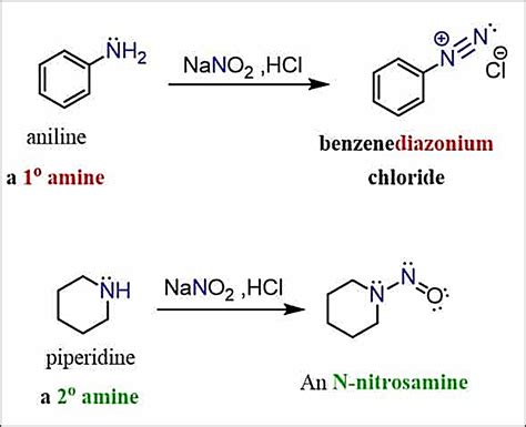 Chemistry Class 12 NCERT Solutions: Chapter 13 Amines Part 12- (For CBSE, ICSE, IAS, NET, NRA ...