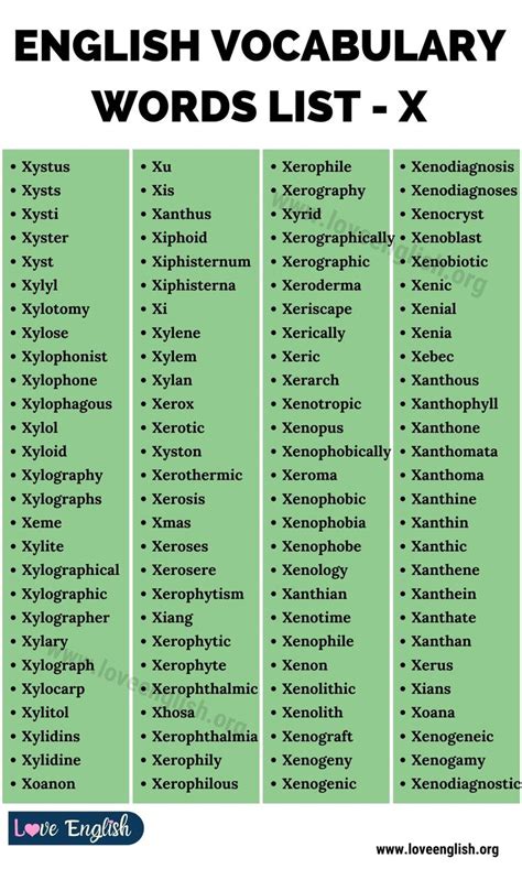 Words that Start with X: List of 115 Words Beginning with Letter X in ...