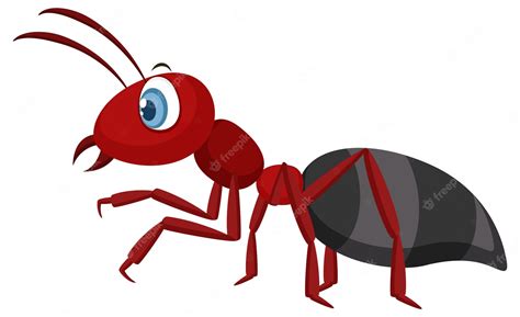 Premium Vector | Red ant isolated on white background