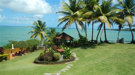 Tocopita - Hosanna Toco Resort – Trinidad & Tobago Villas | Hotels ...