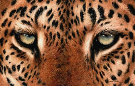 Leopard eyes Painting by Sarah Stribbling - Fine Art America