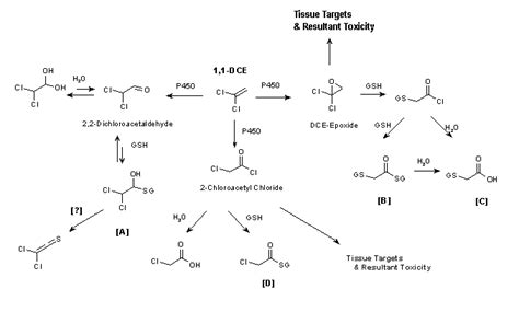 1,1-Dichloroethene (Vinylidene Chloride) (Cicads 51, 2003)