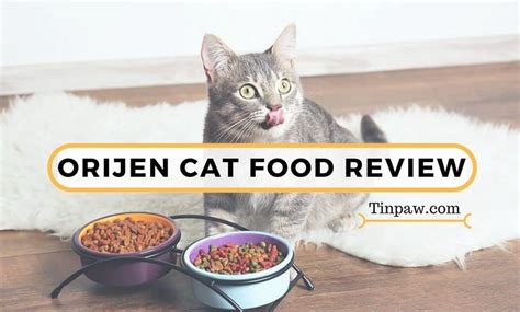 Orijen Cat Food Review: What You Need To Know About the Cat & Kitten Formula - TinPaw