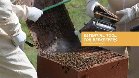 Basic Tools for Harvesting Honey and for Bee Keeping | Equipment for ...