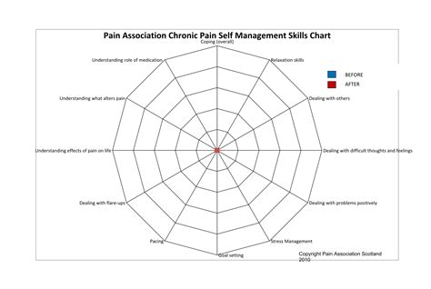 Spider Map — Pain Association