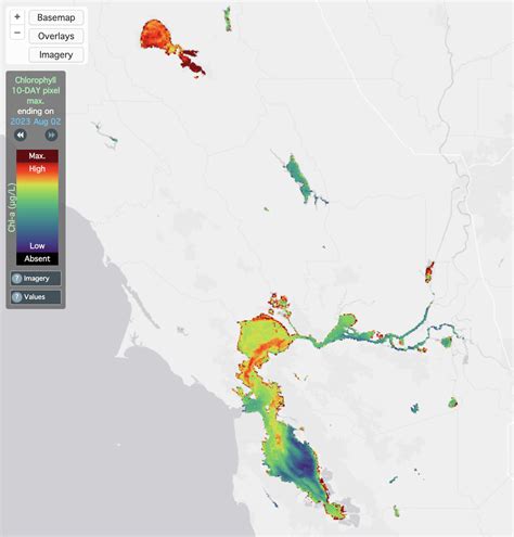 Just in Time for Algae Season, A New Satellite Map Offers Glimpses of ...