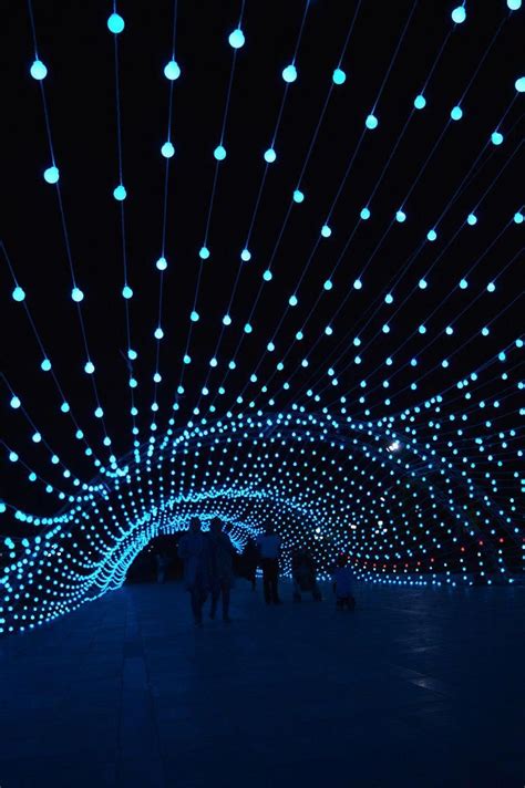 Home Exterior Decorating with Outdoor lighting | Light art installation, Light tunnel, Light ...