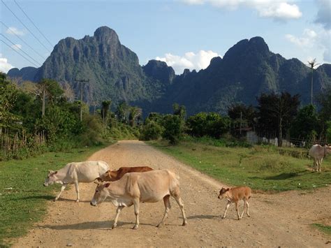 Staying on an organic farm instead of tubing – Vang Vieng, Laos | Lilian Leahy Illustrations