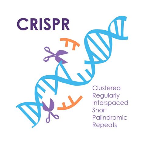 NIH to Back CRISPR-Based Rapid COVID-19 Testing | BioAgilytix