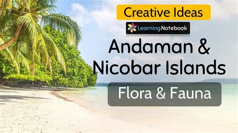 Flora and Fauna of Andaman and Nicobar Islands - YouTube