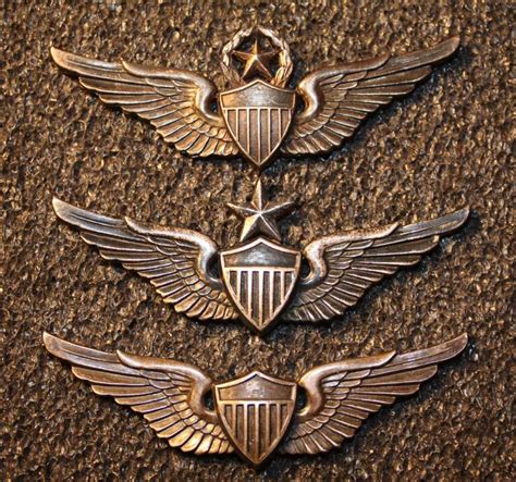 U.S Army Aviation Flight Wings - WING BADGES - U.S. Militaria Forum