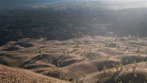 Cinder Cone Nature Trail (Lassen NP) - dismal wilderness