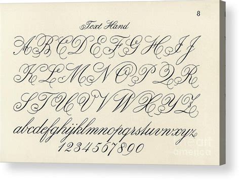 Cursive fonts from Draughtsmans Alphabets by Hermann Esser Acrylic ...