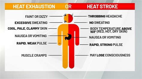 Heat exhaustion vs. heat stroke: Here's how to know the difference