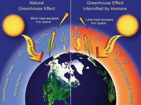 Causes | Building Resilience Against Climate Effects | University of Illinois Chicago