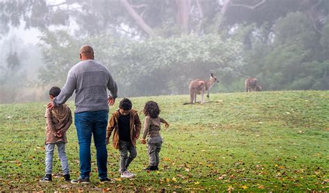 Safety tips for wildlife encounters | NSW National Parks