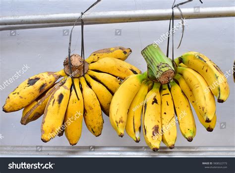 27 Pisang Raja Bulu Images, Stock Photos & Vectors | Shutterstock